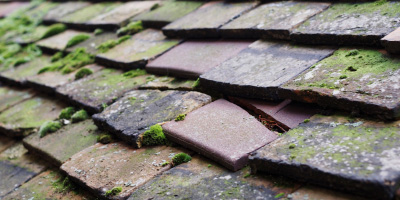 Mobwell roof repair costs